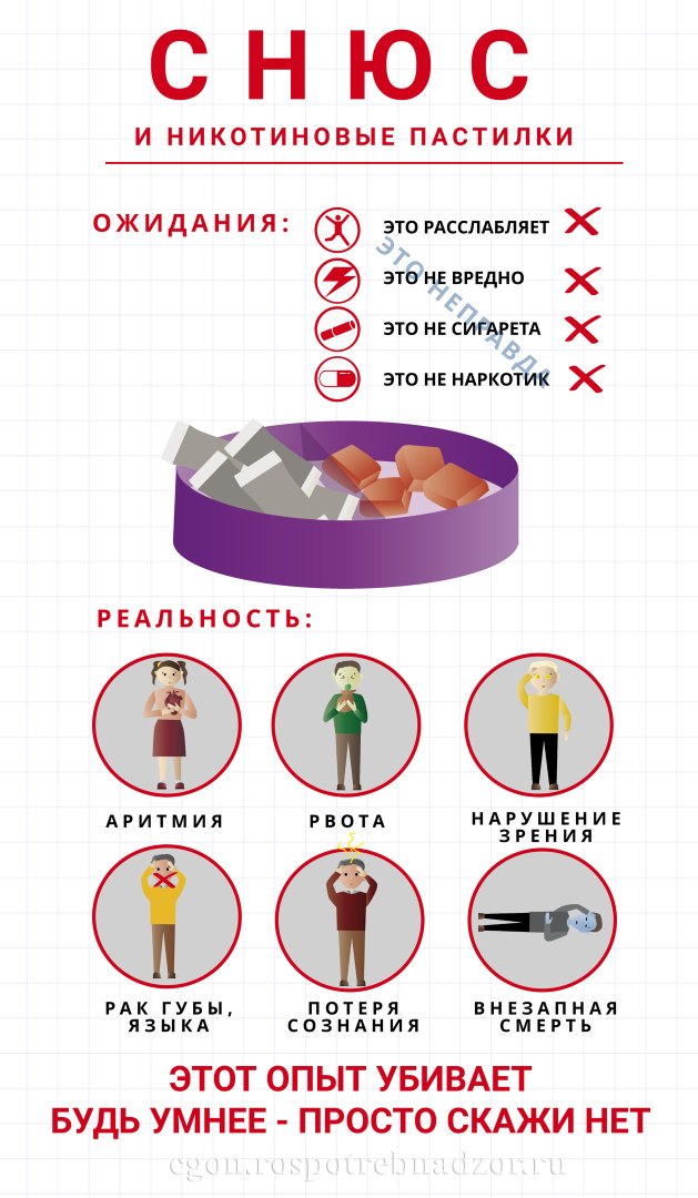 СНЮС. Мифы и реальность.